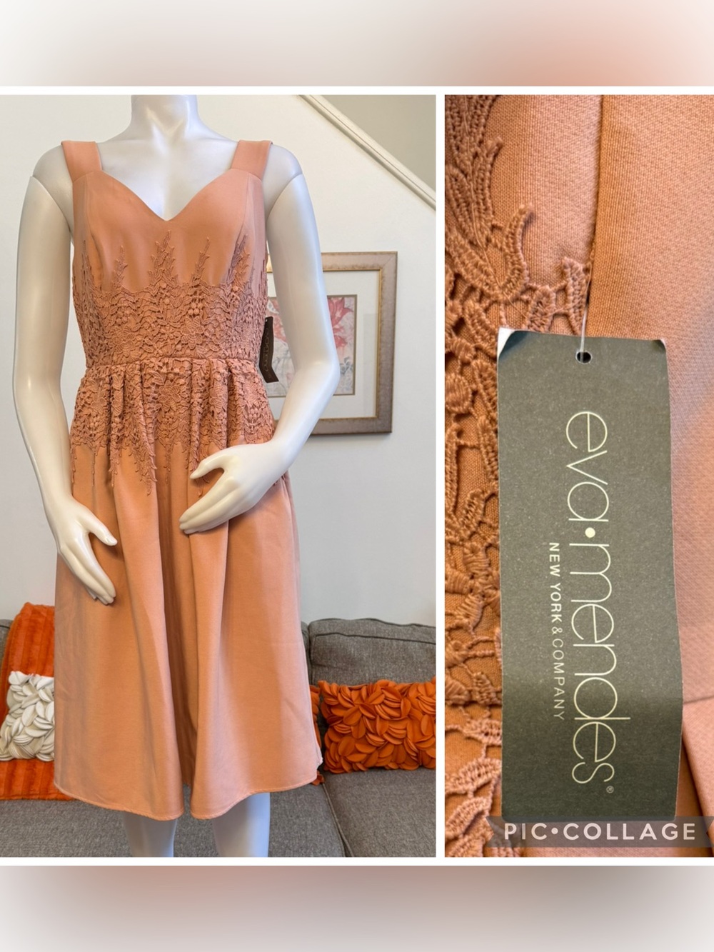 NWT Eva Mendes New York & Company Pink / Peach Floral Lace Detail Dress